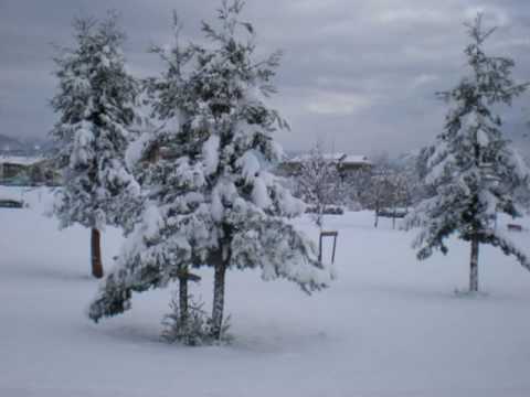 DANIELA MAIMONE - Concerto per Fisarmonica ed Orchestra 2° T (Jean Françaix).wmv