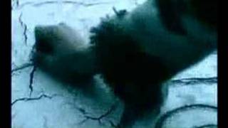 Tragedy-Celldweller (MirrorMask)