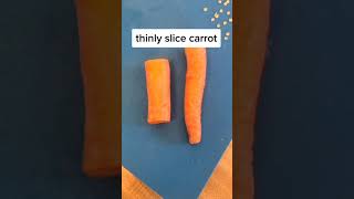 Dried Carrot DIY Guinea Pig Treat