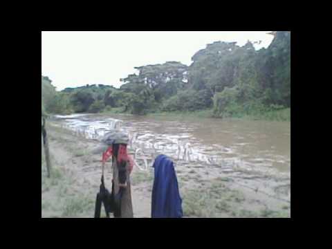 El palito de merey -  Llaneras