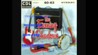 The Evening Shadows (cd clips from our latest album)