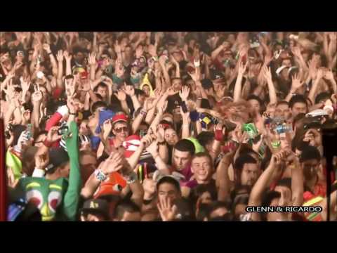 Hardwell feat. Jake Reese - Run Wild (Glenn & Ricardo Mashup)