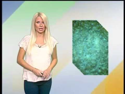 Zelena prognoza 15.7.2013.