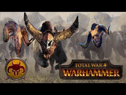Total War Warhammer Community Cast #11: Beastmen vs Empire - RUNNING OF THE FREE COMPANY