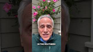 Embracing the Solstice: Celebrating Summer in the North and Winter in the South