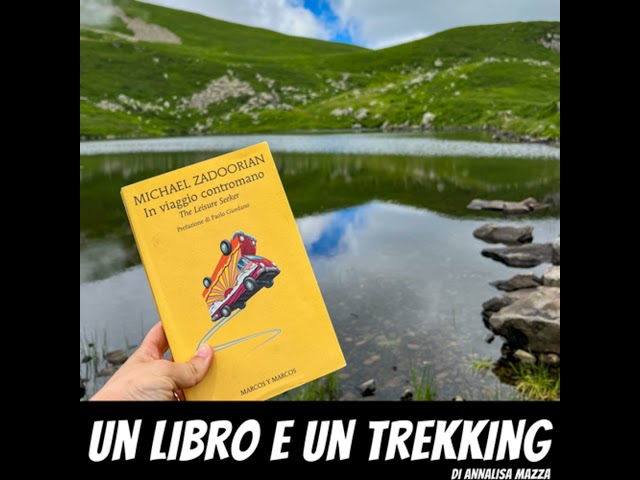 Vídeo relacionado con In viaggio contromano. The leisure seeker (Gli alianti)