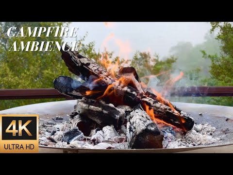4K Burning Embers Campfire Ambience on a Misty Morning on Safari - Relaxing Fire and Nature Sounds