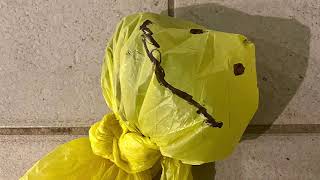 Cover art for Psychosis