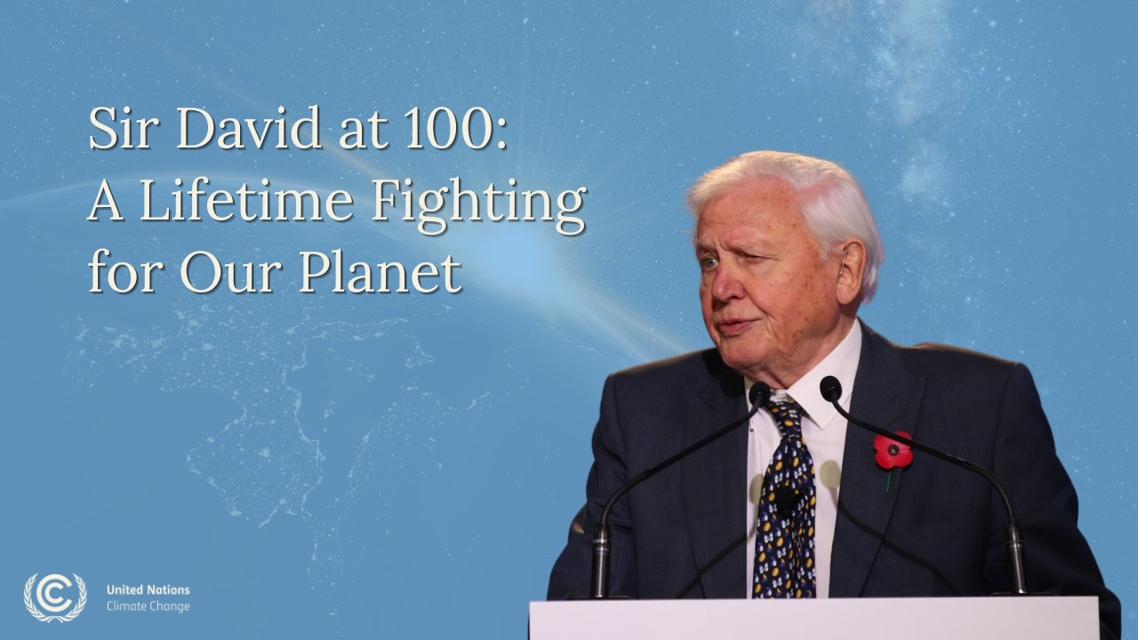 Sir David Attenborough at 100: A Lifetime Fighting for Our Planet