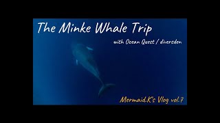 The Minke Whale Trip with Ocean Quest Divers Den/ミンククジラトリップ【Mermaid K's Vlog vol.7】