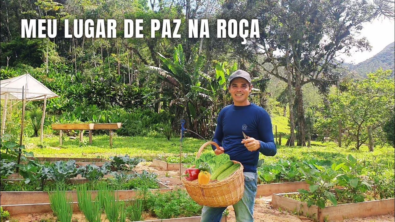 LUGAR DE PAZ NA ROÇA: COLHEITA NA HORTA ORGÂNICA DO SÍTIO + VENDI PARTE DAS MINHAS CRIAÇÕES