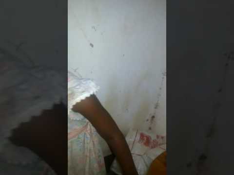 Weusi ft Christian bella Nijue