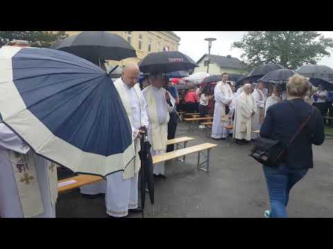 vlč. Petar Ribarić - zlatna misa