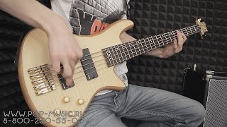 Video thumbnail for Бас-гитара SCHECTER STILETTO CUSTOM-5 by PopMusicRu