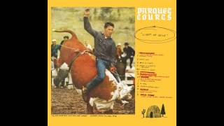 Parquet Courts - Master Of My Craft / Borrowed Time