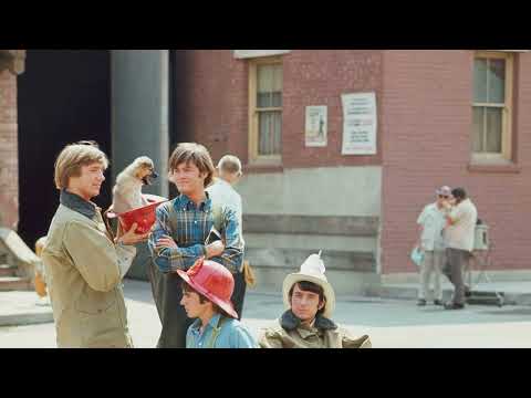 The Cast of The Monkees TV Series Breaks Their Silence: Shocking Secrets Behind the Scenes!