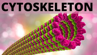 Cytoskeleton - Class 11 Bio/NEET
