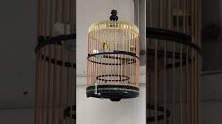 Download lagu Puteh perempuan mp3