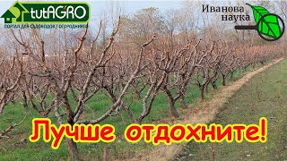 ПУСТЫЕ ХЛОПОТЫ: лучше отдохните. Эти работы в ноябре не принесут пользы.