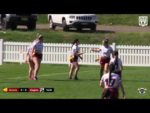 2019 Group 7 LLT Division 1 Round 3 Highlights - Shellharbour Sharks vs Albion Park Oak Flats Eagles