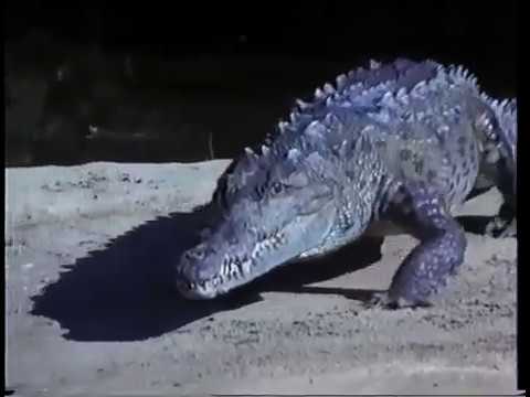 download lagu mp3 mp4 More James Bond Movie Music And Other Spy Themes Digitally Remastered, download mp3 More James Bond Movie Music And Other Spy Themes Digitally Remastered free downloadn, video klip More James Bond Movie Music And Other Spy Themes Digitally Remastered