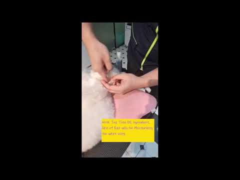 Aurigel by Bastian Boon