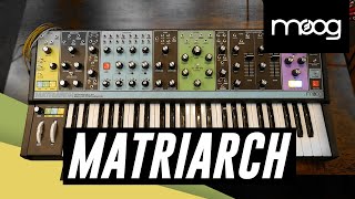 Video thumbnail for MOOG Matriarch Analog Synth! Demo by GAK