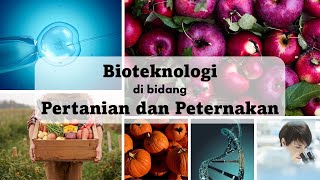 IPA Kelas 9 Semester 2 : Bioteknologi (Part 2 : Bioteknologi di bidang pertanian dan peternakan)