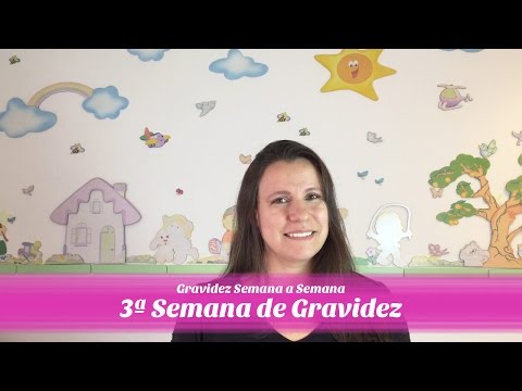 3ª SEMANA DE GRAVIDEZ
