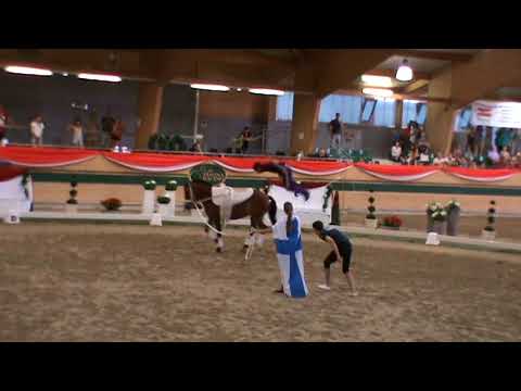 FEI World Championship Vaulting 2017