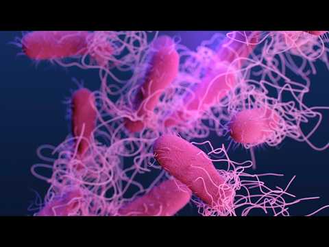 Balancing food safety and sustainability | Frontiers in Science