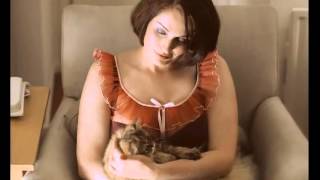 Busted - What I Go To School For (music video)