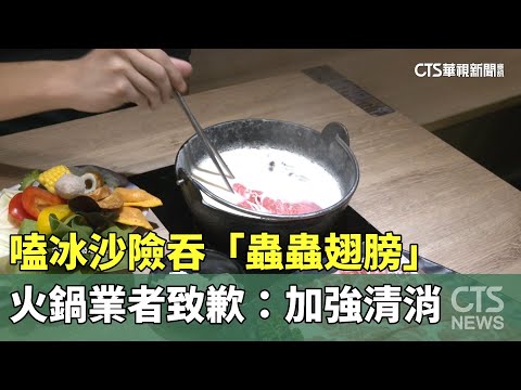 嗑冰沙險吞「蟲蟲翅膀」　火鍋業者致歉：加強清消