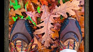 John Hicks   Is That So