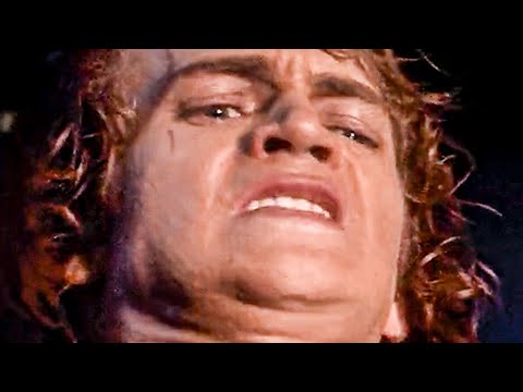 I don't even know HOW he did this