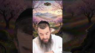 זמן חשוב מאוד | הרב שמואל אידלמן (הרב יוסף צבי בן פורת) - התמונה מוצגת ישירות מתוך אתר האינטרנט יוטיוב. זכויות היוצרים בתמונה שייכות ליוצרה. קישור קרדיט למקור התוכן נמצא בתוך דף הסרטון