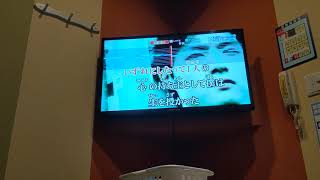 【歌ってみた】 AquaTimez / 12月のひまわり