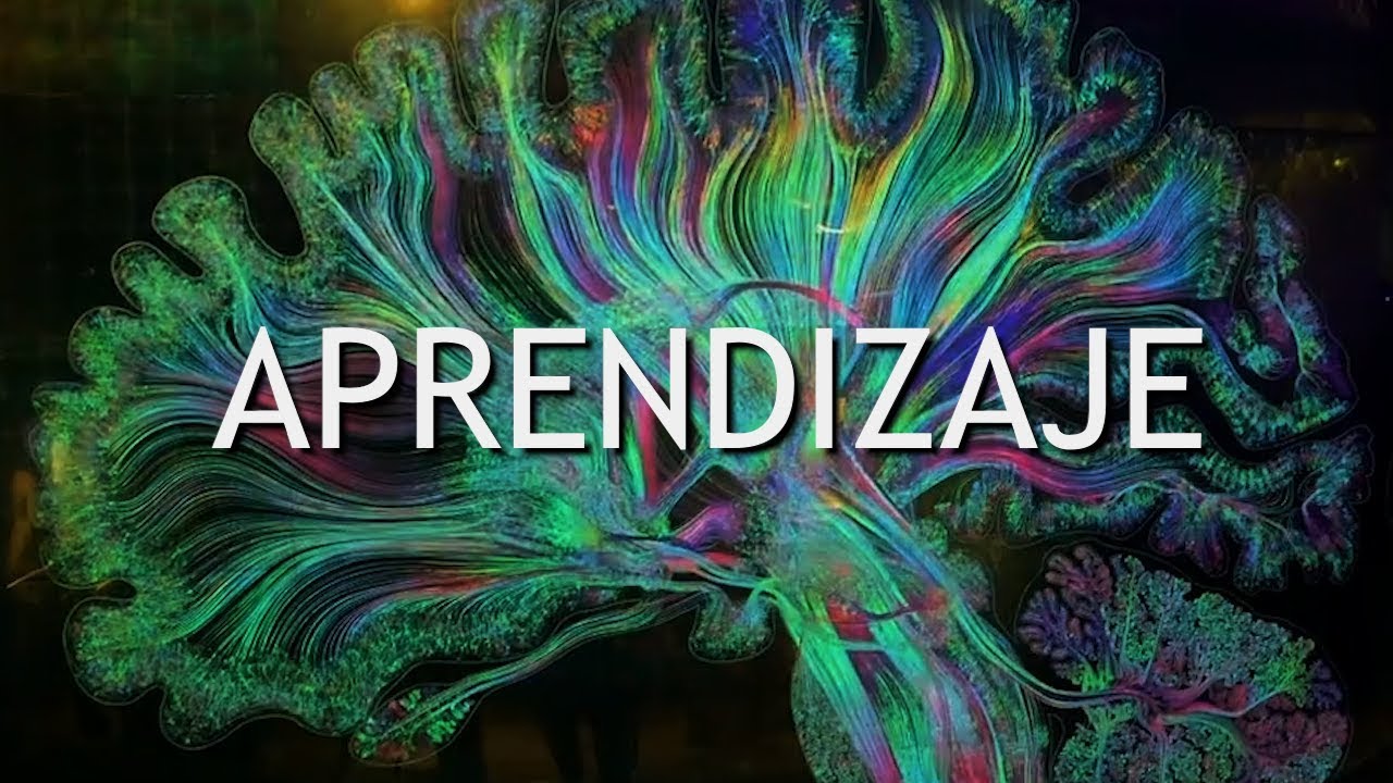 ¿Qué es el Aprendizaje Supervisado y No Supervisado? | DotCSV