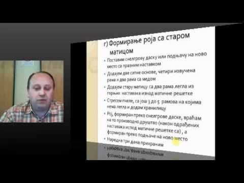 Zoran Sevic - Radovi na pcelinjaku nakon izimljavanja pcelinjih zajednica 12.03.2012