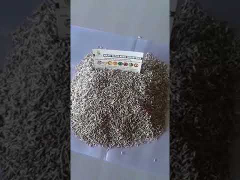 White cumin seed jeera, packaging type: gunny bag