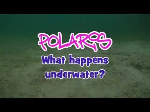 download lagu mp3 mp4 Crazy Fish Polaris, download lagu Crazy Fish Polaris gratis, unduh video klip Crazy Fish Polaris