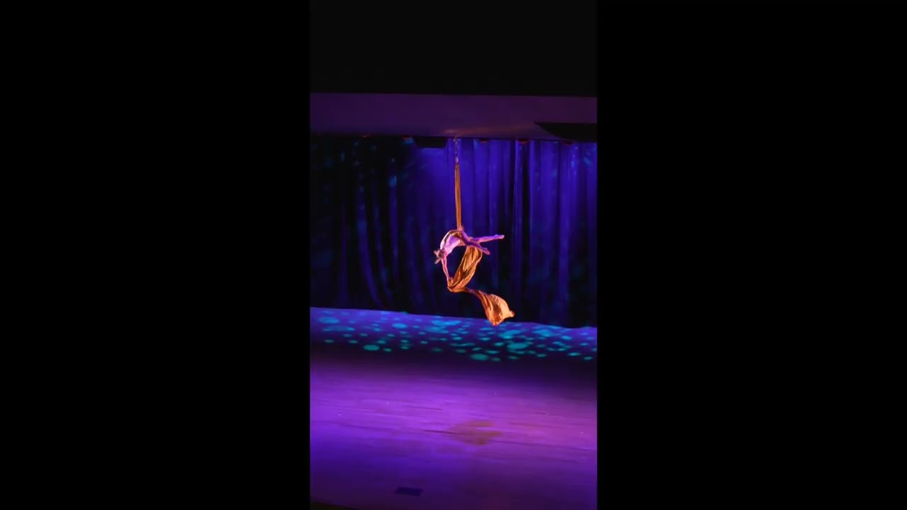 Promotional video thumbnail 1 for Aerial Aura | Trapeze, Silks, Circus