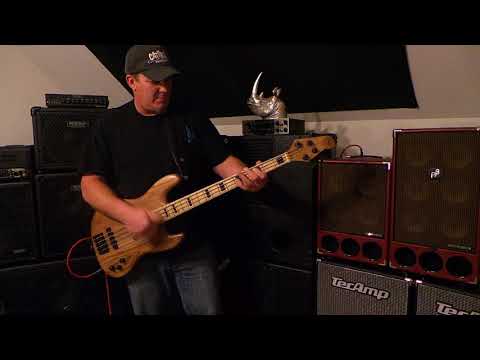 DNA custom AI-BB bass - Phil Jones Amp - Andy Irvine