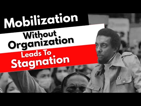 Mobilization vs Organization | A Breakdown Of Kwame Ture Featuring @professorcarltonejones