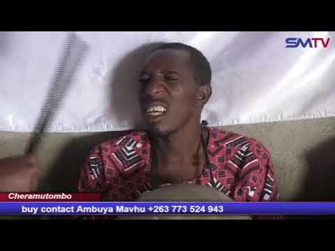 Part 2 Ambuya Mavhu Mbira Group Launches Album Titled Cheramutombo,  +263 773 524 943