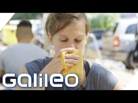 The best coffee varieties in the world | Galileo | ProSieben