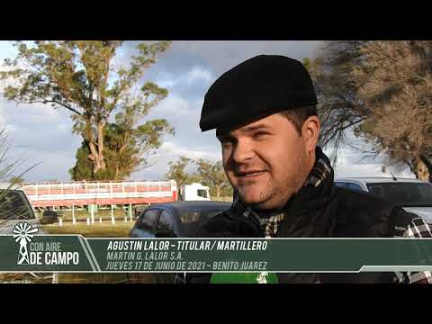 Agustín Lalor - Resumen del remate de Martín G. Lalor - jueves 17 de junio de 2021 - Benito Juárez