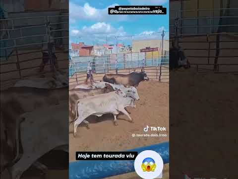 São Miguel do Aleixo