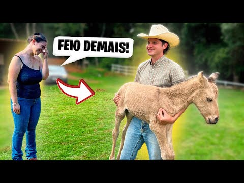 I showed my girlfriend the foal that was born.