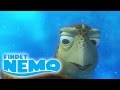 Disney Pixar Findet Nemo Auf DVD Und Blu Ray